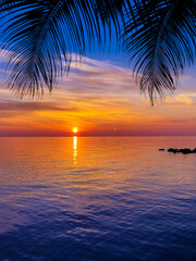 Nice sunset. Dark palm trees silhouettes on colorful tropical ocean sunset background