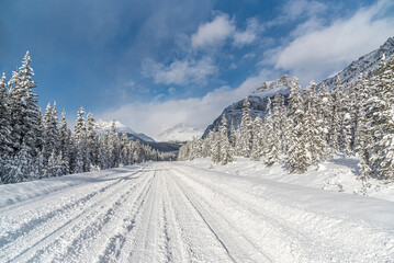 Icefields Pkwy