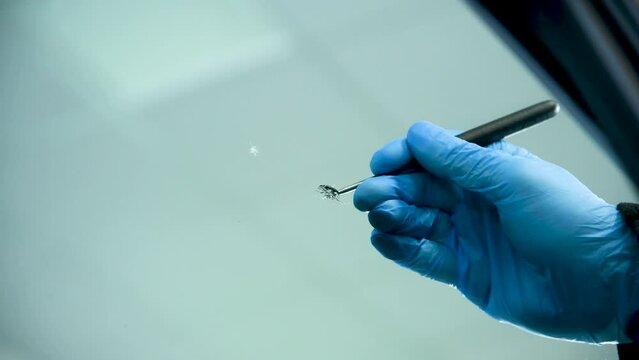 detailed closeup on man checking a stone chip in a cars glass