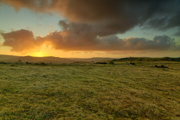 Fototapeta premium Dartmoor Morning