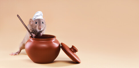 A domestic rat in a chef's hat cooks food in a pot. High quality photo