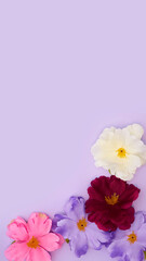 Obraz na płótnie Canvas Easter Still Life Arrangement With Spring Flowers On Purple Background