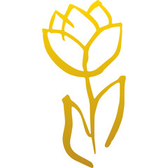Tulip Flower Gold Hand Drawn
