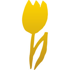 Tulip Gold Hand Drawn - 489906374