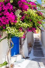 Fotobehang Colourful tree over blue door on typical white street in Santorini, Greece © Edward