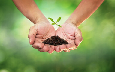 Hands holding small tree with soil on blurred light green background,  Save World Environment Day Concept