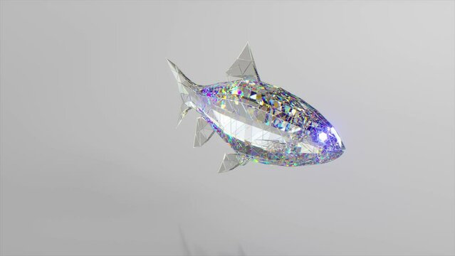Swimming diamond fish. The concept of nature and animals. Low poly. White color. 3d animation of seamless loop