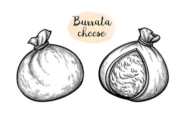 Burrata cheese ink sketch.