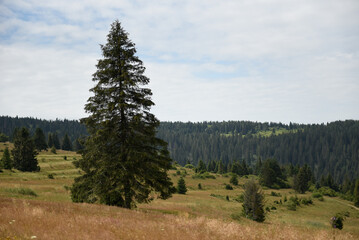 Slovakia nature