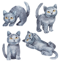 Fototapeta premium Cute watercolor illustrations of four British Shorthair kittens. Hand-drawn picture of small blue cats in different poses for decoration or greeting cards