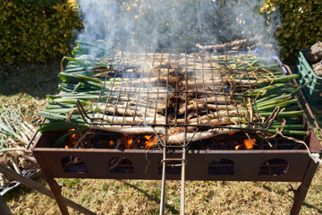 Calçots, a young catalan onion, typical food of catalonia Spain