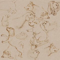 Pencil sketches of dogs on brown craft paper. seamless pattern. - 489912733