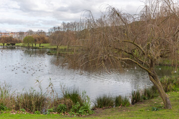 Obraz premium Garden Park of Peace in Almada, Portugal