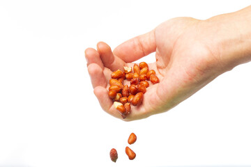 Fototapeta premium Hand dropping Red Peanuts on a white background with copy space.