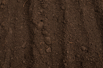 Black land for plant background. Top view.