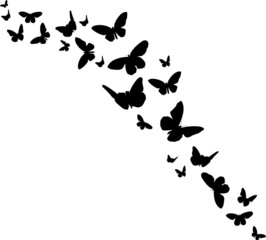 Flatternde Schmetterlinge Illustrationen Flatternde Schmetterlinge SVG EPS PNG