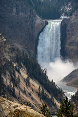 Upper Yellowstone Falls in Yellowstone National Park, WY.