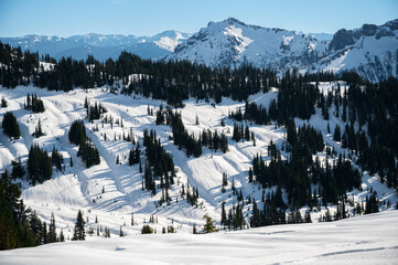 Fototapeta na wymiar Mount Rainier National Park Covered in Snow During Winter