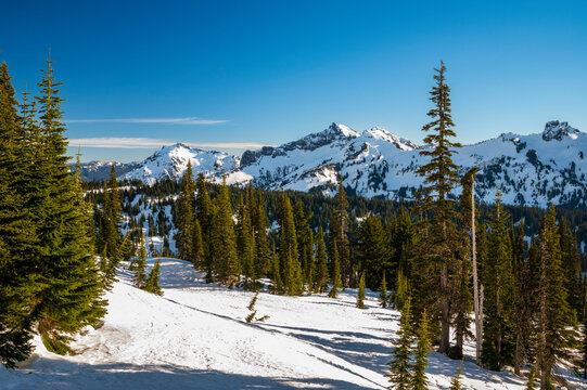 Mount Rainier National Park Covered in Snow During Winter