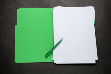 Light green file with blank sheets of paper and pen on black slate table, top view. Space for design