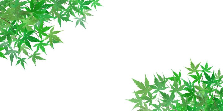 リアルイラスト Images Browse 1 2 Stock Photos Vectors And Video Adobe Stock