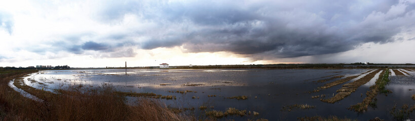 Obraz premium Flooded rice field for sowing with clouds.Albufera Valencia