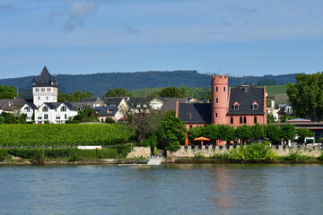 Fototapeta na wymiar Rhine valley; Germany- august 11 2021 : the Rhine valley