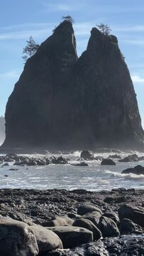 The misty rugged coastline of Olympic National Park