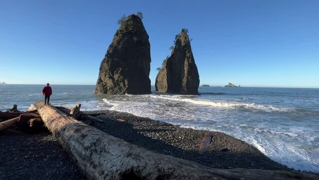 Male hiking on the rugged coastline of Olympic National Park