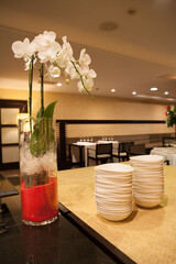 Interior restaurante