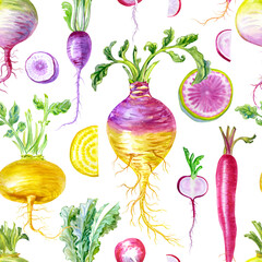 Seamless pattern of root vegetables: turnips, radishes, rutabagas on a white background, watercolor illustration, print for fabric and other surfaces.