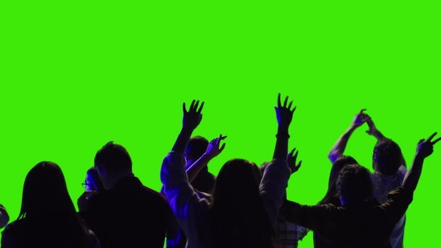 A bunch of charming people are applauding and dancing together on a greenscreen consert greenscreen