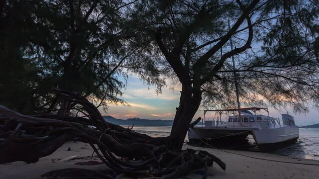 time lapse beautiful sunrise in the gap between the pine trees..The sun shines in the tunnel of the pine trees. .Nature video High quality footage Scene of Gradient color romantic sky sunrise.