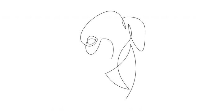 Self drawing simple animation of single continuous one line drawing Greyhound. Dog head drawing by hand, black lines on a white background. The concept of wildlife, pets, veterinary.