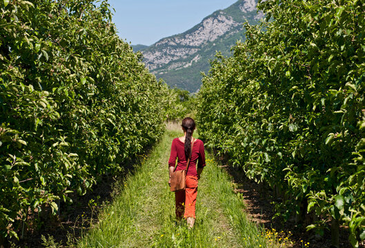 woman walking through an orchard at the Garda Lake
