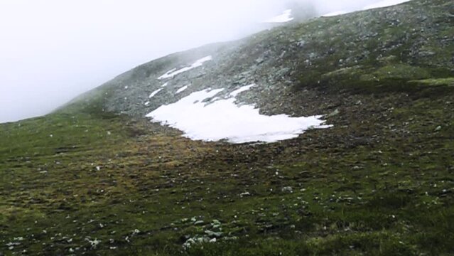Highlands, border of the alpine and nival belts. It's snows here in the first half of summer, cloudy cold haze. Super slow motion 1000 fps.