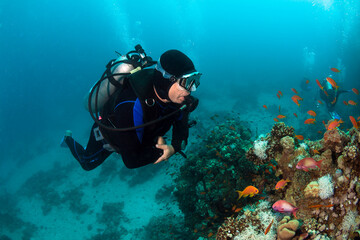 Scuba diver observes a beautiful coral reef.
