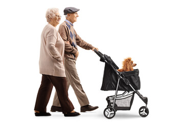 Elderly couple walking with a dog stroller with a red poodle