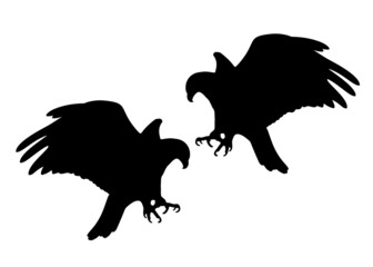 Large eagles soaring in the sky. Vector image.