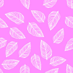 Fototapeta na wymiar seamless pattern of white feathers on pink background
