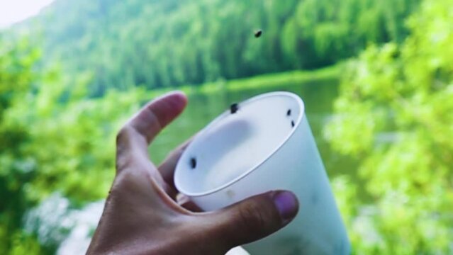 Plastic glass with flies, insects fly out. Super slow motion 1000 fps.