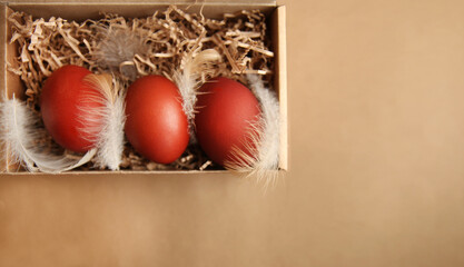 Easter colored eggs in a box, on a beige background, decorated with chicken feathers. copy space. Top view .