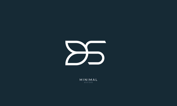 Monogram icon logo DS