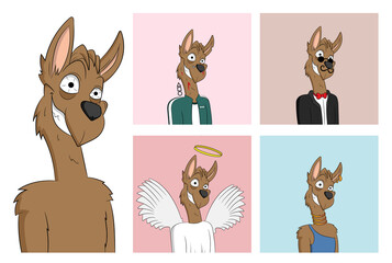 Crazy llama NFT Cartoon Character Kangaroo Traits