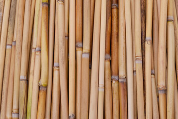 Naklejka premium Reeds in a pile.