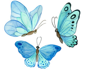 watercolor  illustration with blue butterflies