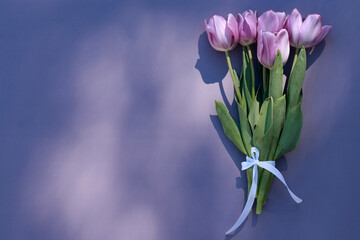 bouquet of purple  tulips on purple background  with copy space