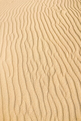 Yellow sand desert vertical waves. Nature dune texture background. Wallpaper with copy space.