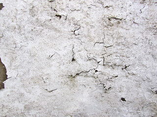 White Paint Cracking on Old Wall                 