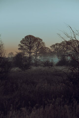Obraz na płótnie Canvas Early morning across the misty fields